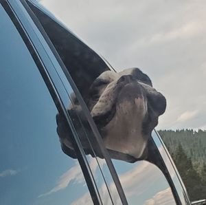 Meet your Posher, Christopher n amber